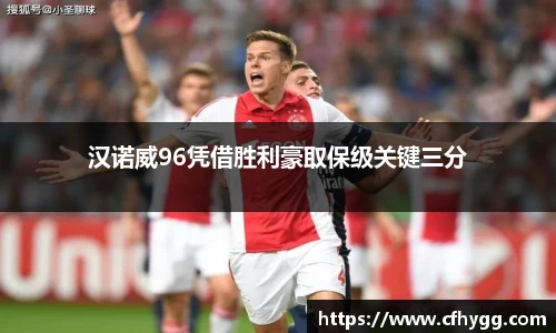 汉诺威96凭借胜利豪取保级关键三分