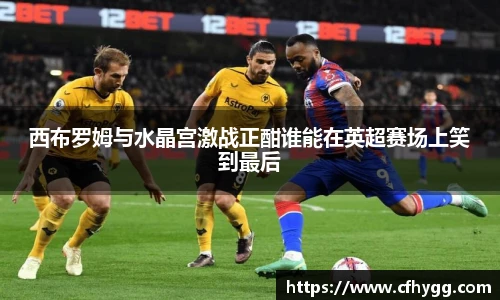 西布罗姆与水晶宫激战正酣谁能在英超赛场上笑到最后